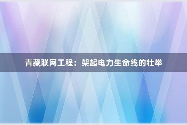 青藏联网工程：架起电力生命线的壮举